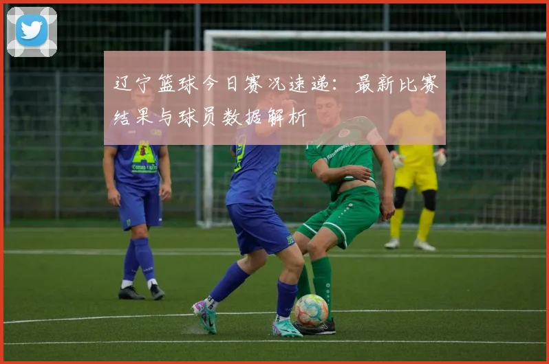 辽宁篮球今日赛况速递:最新比赛结果与球员数据解析