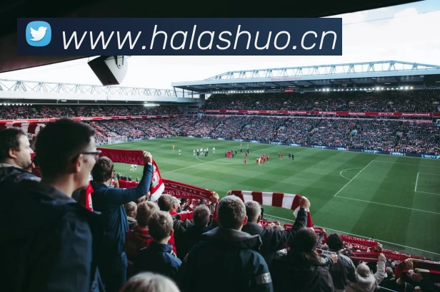 半岛手机版官方网站平台生态图